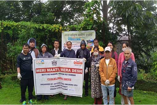 Tree Plantation