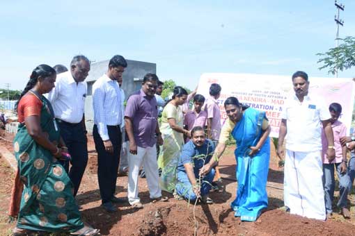 Tree Plantation