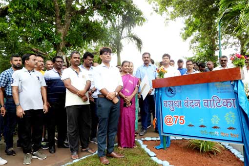Tree Plantation