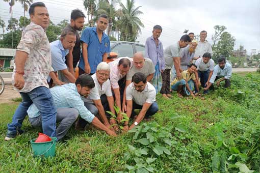 Tree Plantation