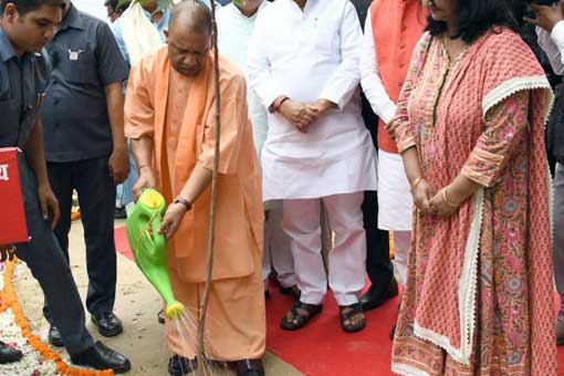 Tree Plantation