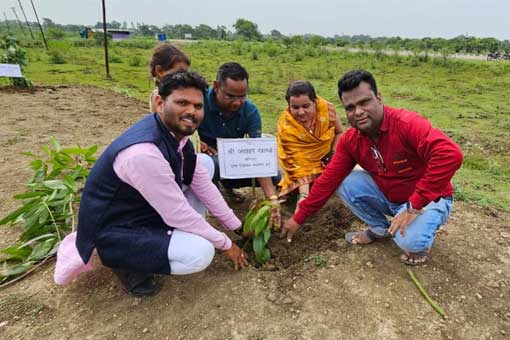 Tree Plantation