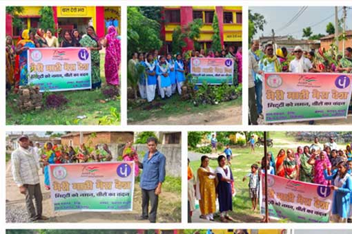 Tree Plantation