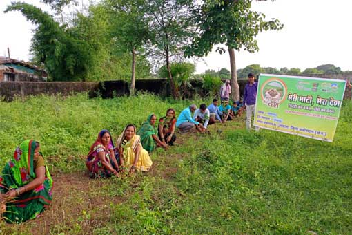 Tree Plantation
