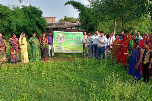 Tree Plantation
