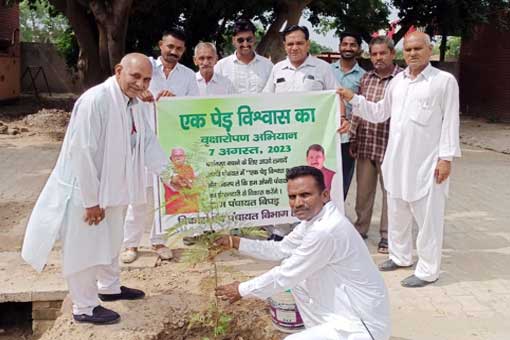 Tree Plantation