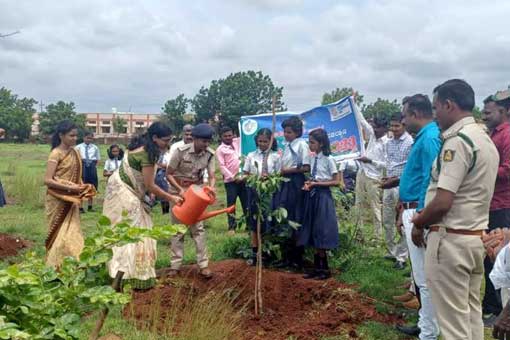 Tree Plantation
