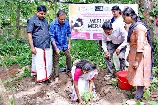 Tree Plantation