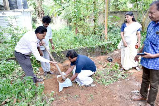 Tree Plantation