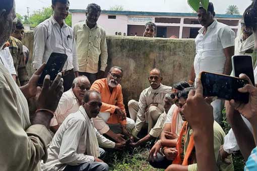 Tree Plantation