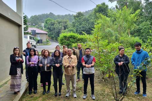 Tree Plantation