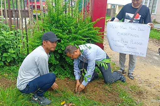 Tree Plantation