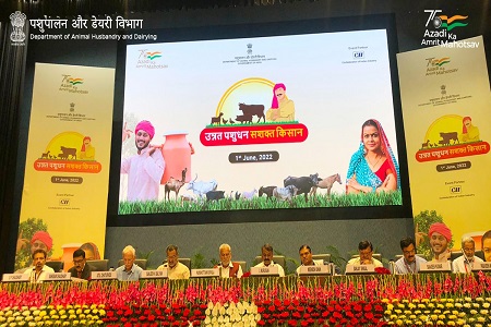 World Milk Day